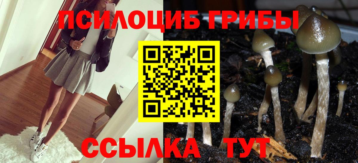 Кимры  Псилоцибиновые грибы Psilocybe  Вход с VPN  Псилоцибиновые грибы мицелий 
